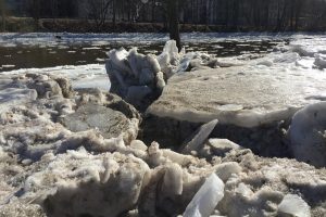 Vngiuotasis takas