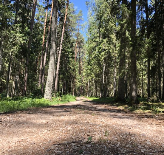 Kulautuvos pesciuju takai