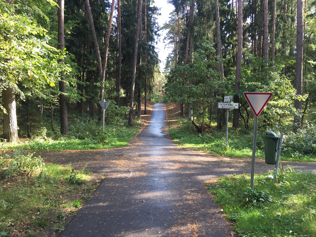 Camino Lituano