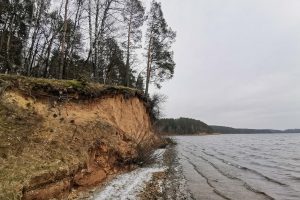 Laumenu pesciuju takas