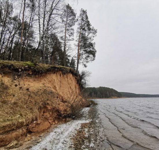 Laumenu pesciuju takas