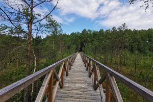 Kačėniškės piliakalnio pėsčiųjų takas